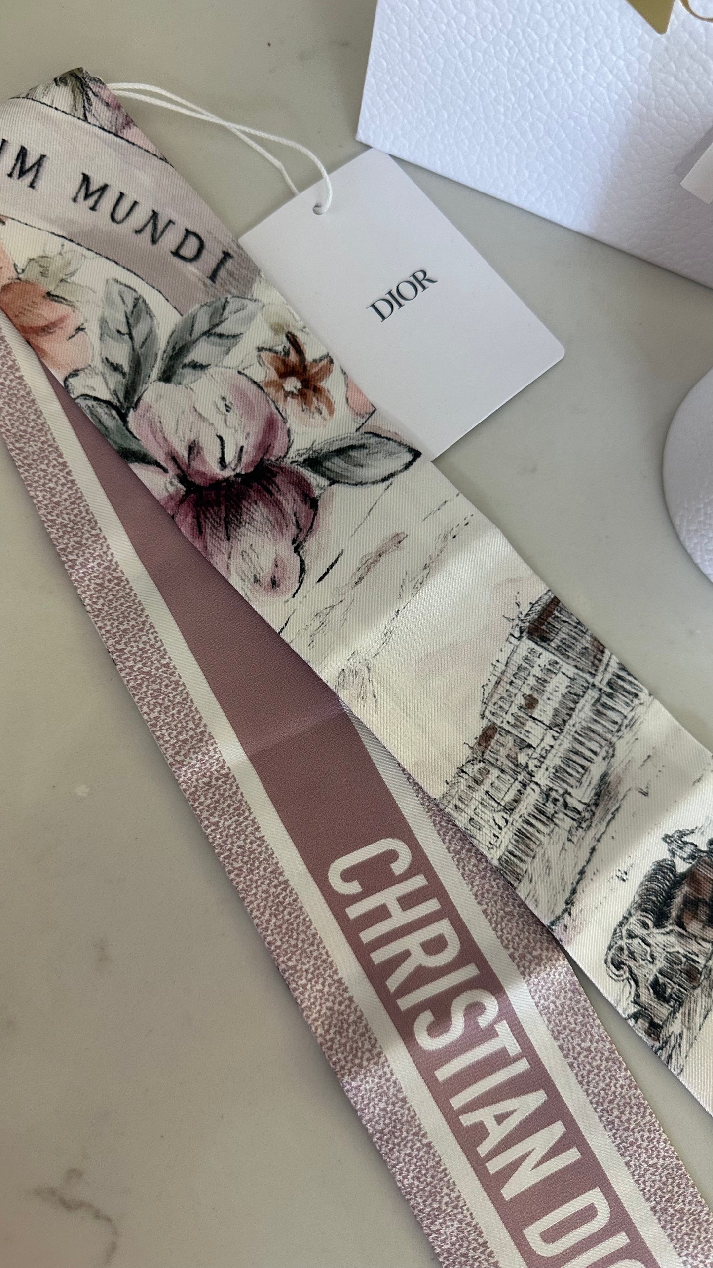 Dior scarf