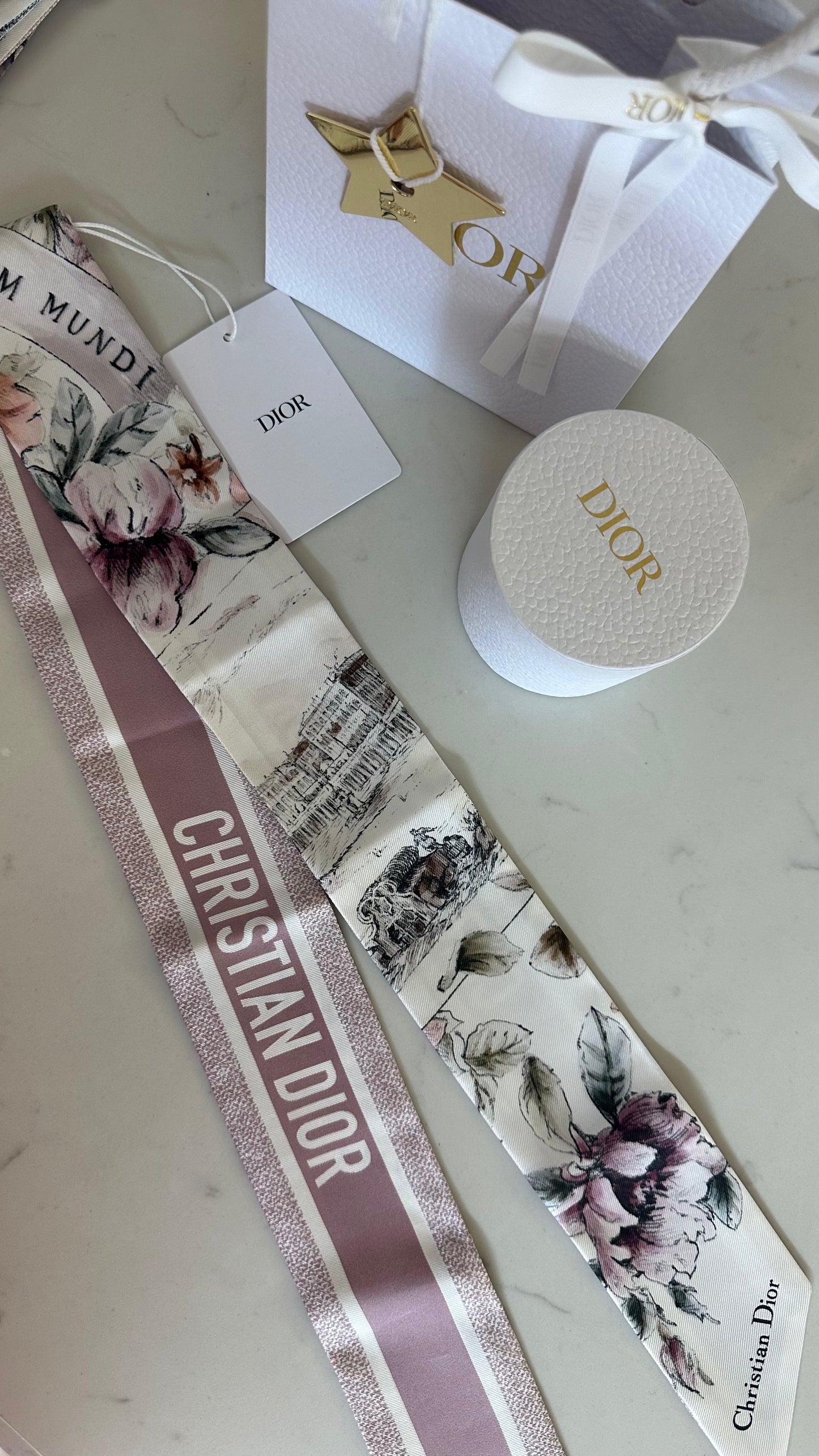 Dior scarf